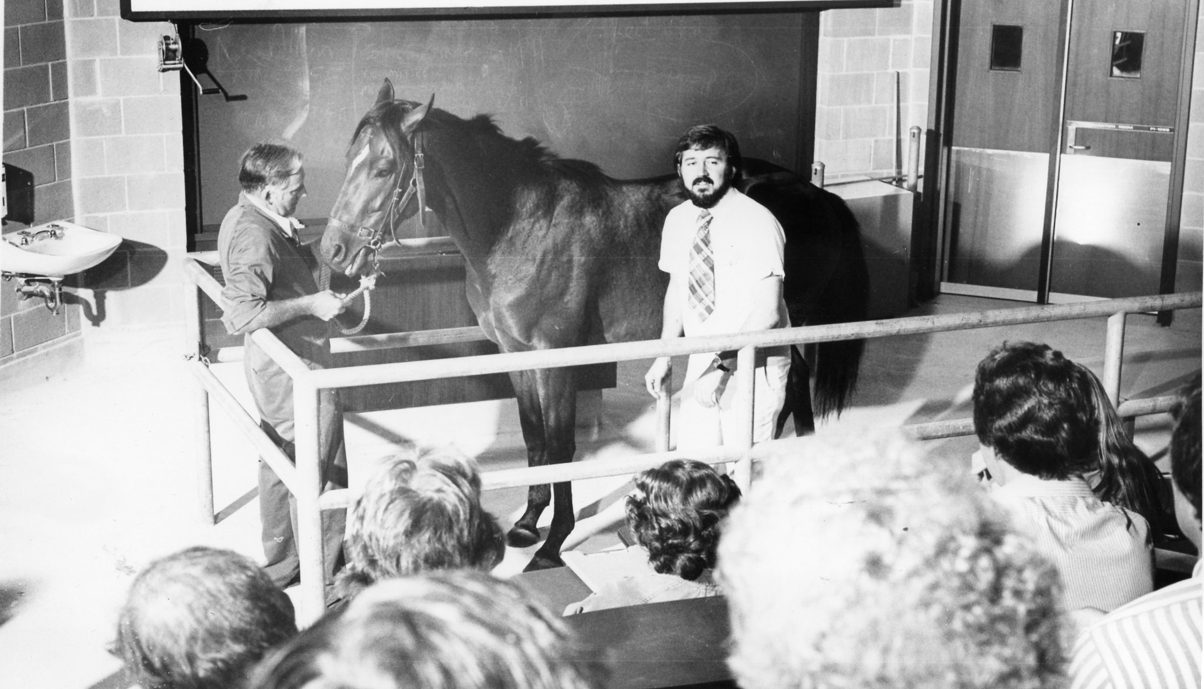 Image Gallery 50th Anniversary Murdoch University Image Gallery 50th Anniversary Murdoch University