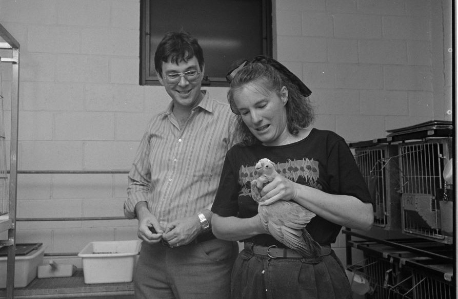 Image Gallery 50th Anniversary Murdoch University Image Gallery 50th Anniversary Murdoch University