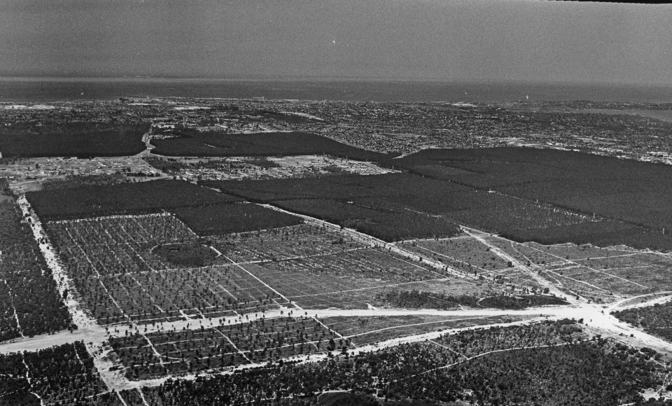 Image Gallery 50th Anniversary Murdoch University Image Gallery 50th Anniversary Murdoch University