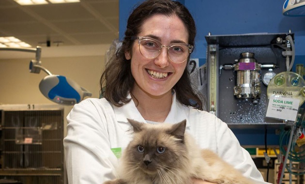 Veterinarian and cat