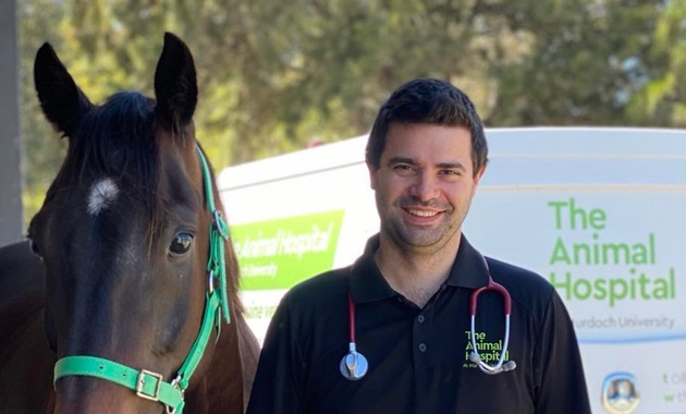 Equine Veterinarian and horse
