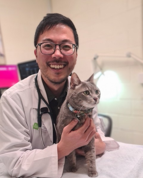Dr Joon and a cat Dr Joon and a cat