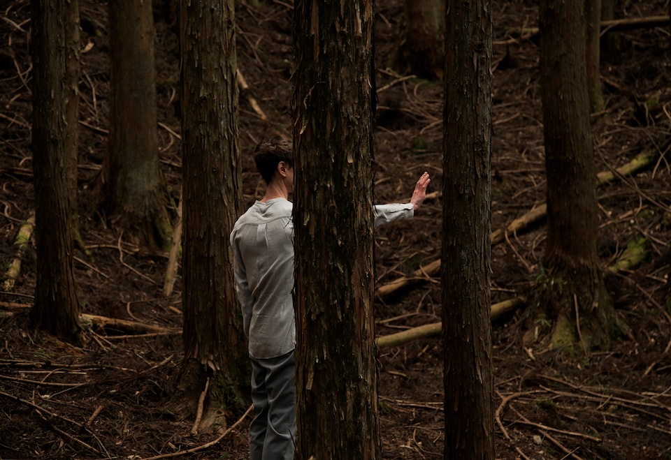 Still image from Sincerity & Symbiosis - Jacobus Capone 2019