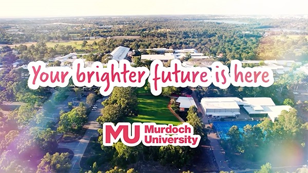 Thumbnail image of video