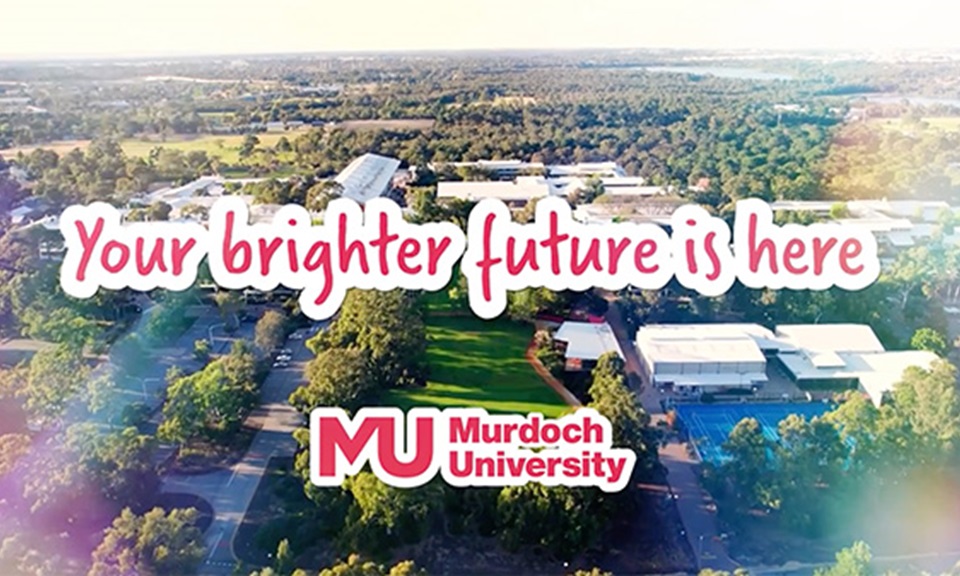 Thumbnail image of video