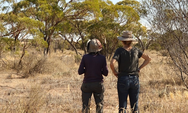 What’s new about old fields? Two researchers standing in a partially vegetated field