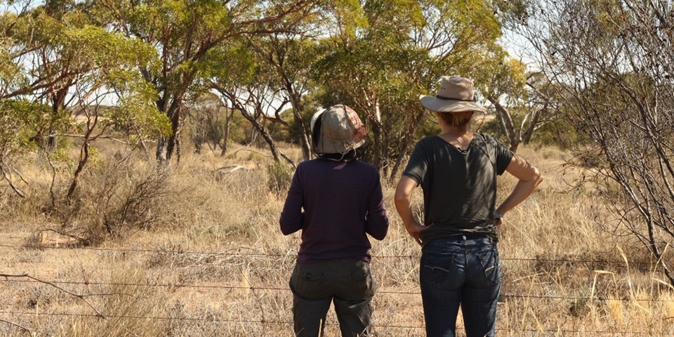 Two researchers standing in a partially vegetated field
