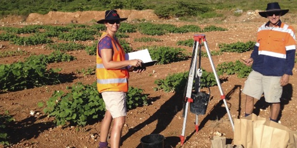 researchers on Christmas Island