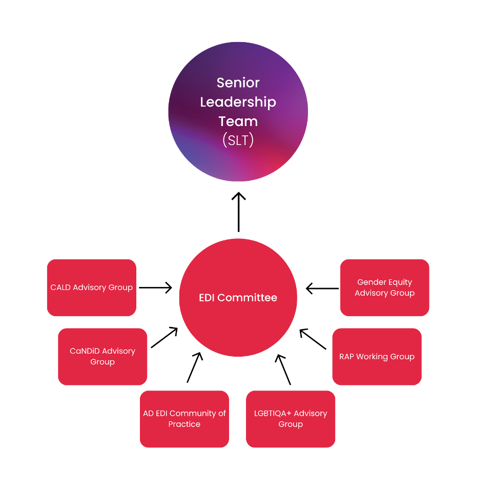 Orgchart showing advisory groups and communities reporting to the EDI Committee, then to the Senior Leadership Team.
