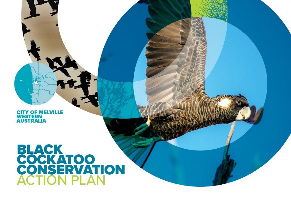 Conservation Plan Cover Page