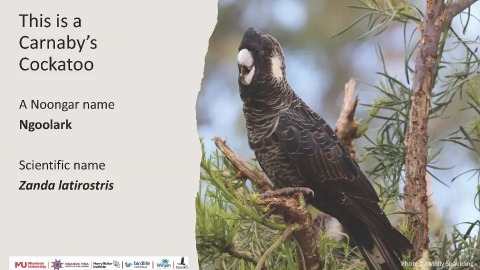 example school resource