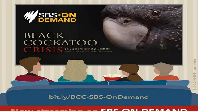 SBS on demand screen