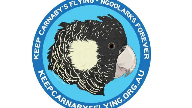 sticker blue 960 x 580