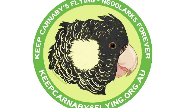 sticker yellow 960 x 580