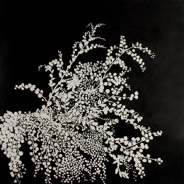 Artwork by Jocelyn GREGSON, Discipline XVIII, Wattle III, 2005