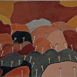 Artwork by Patrick MUNG MUNG, Ngarrgoorroon Country, 2006