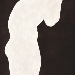 Brent Harris' Plato’s Cave No.5, 2005