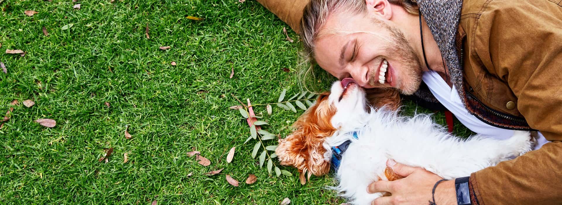 A man lying on the grass with a small brown and white dog. The dog is licking the man's face and the man is laughing.