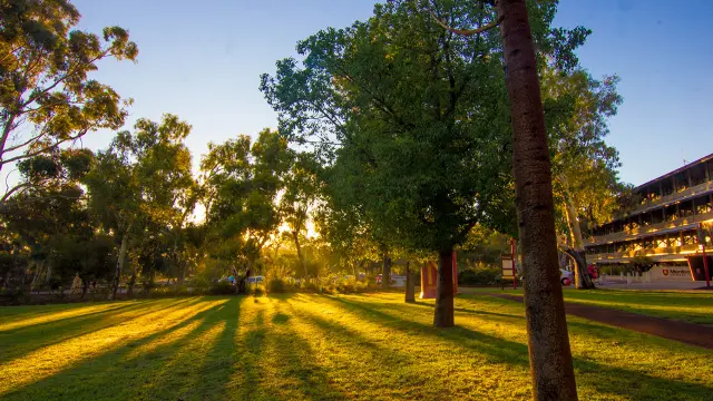 Bush court at Murdoch University
