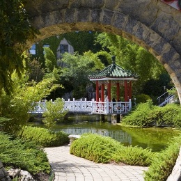 Chinese Garden