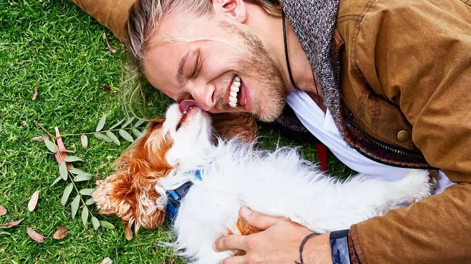 Man on grass with dog