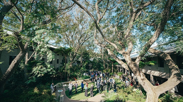 Marion Blackwell Garden from above