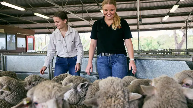 Agricultural science student observing livestock in an outdoor farm setting