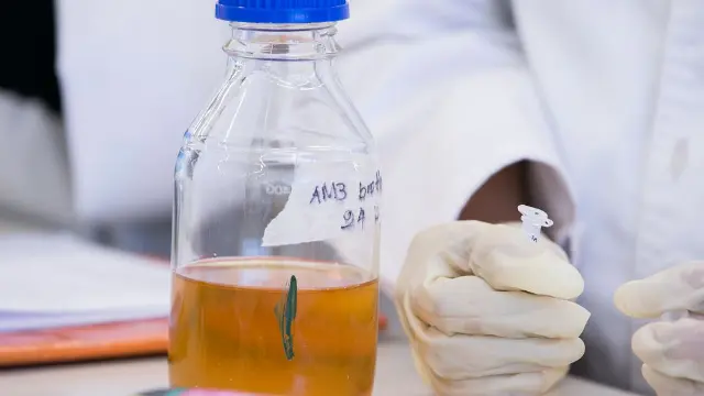 Student handling a labelled sample flask with gloves in a laboratory
