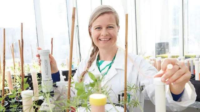 Agricultural science student tending to plant specimens in a laboratory