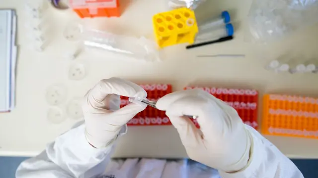 Student handling samples with gloves in a laboratory