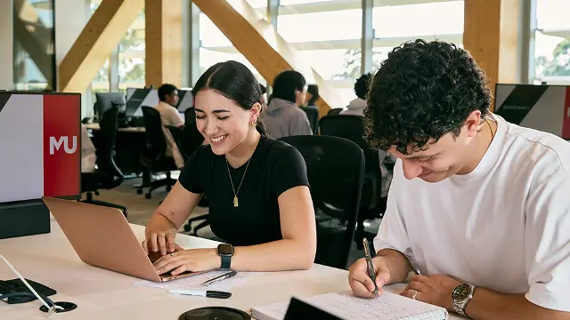Business students studying