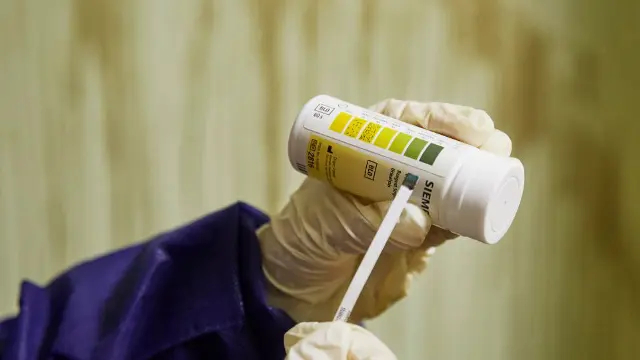 Student collecting a sample with a swab in a laboratory