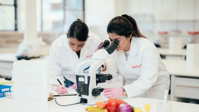 Science students examining samples under a microscope in a laboratory