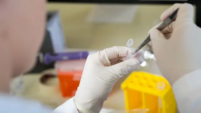 Student handling a specimen with forceps in a laboratory