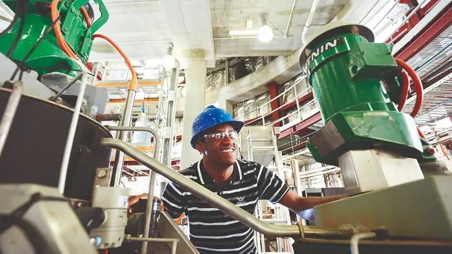 Engineering and energy student in plant