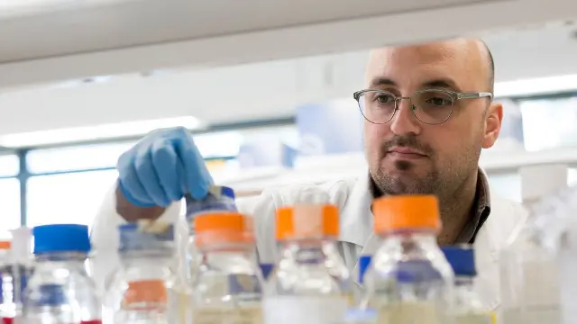 Science student examining laboratory flasks and samples