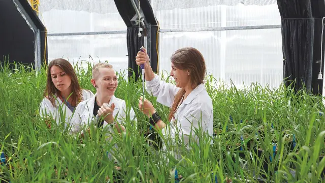 Environmental science students collecting plant samples in the field