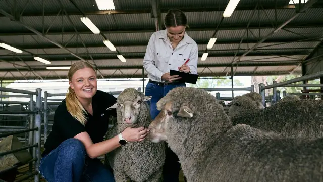 Murdoch University students at sheep farm
