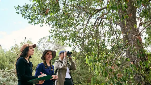 Murdoch University students working outside