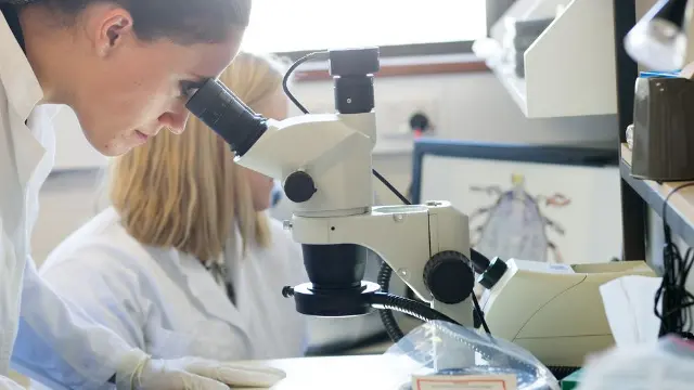 Murdoch University student looking in microscope