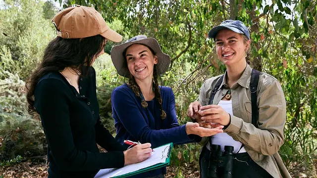 Murdoch University students working outside