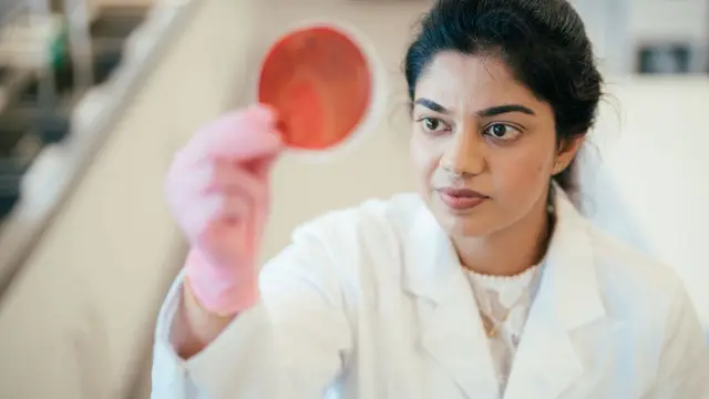 Agricultural science student examining a sample in a laboratory