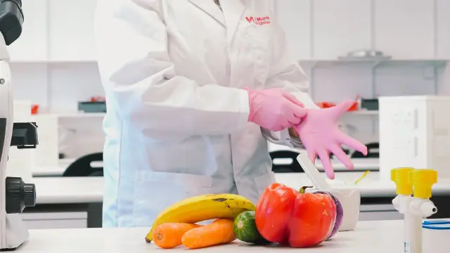 Science student examining food samples in a laboratory