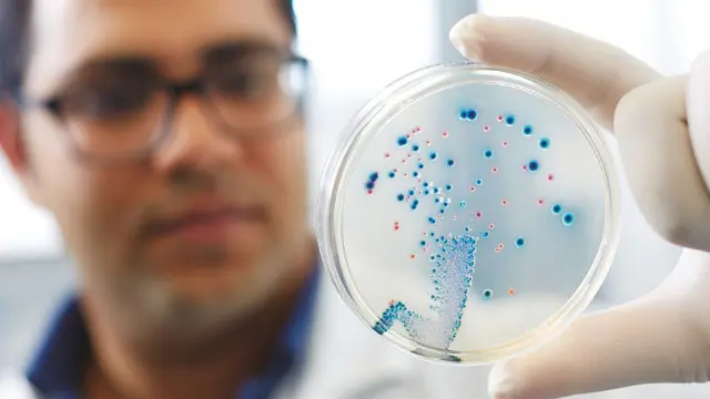 Scientist examining a petri dish in a laboratory