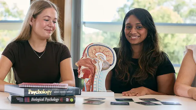 Students studying together in a campus library or study space