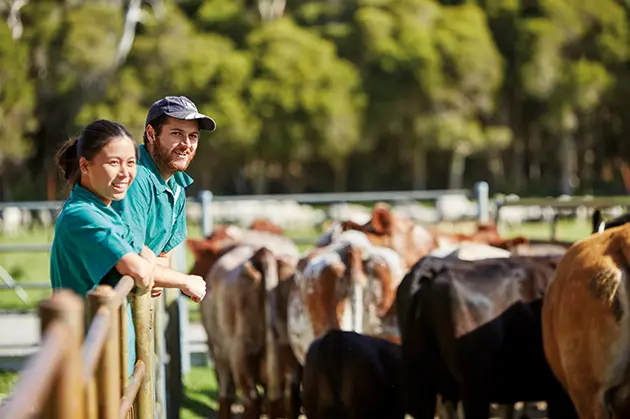 2 students in field with animals