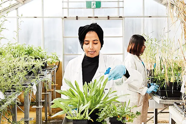 Student researcher in greenhouse