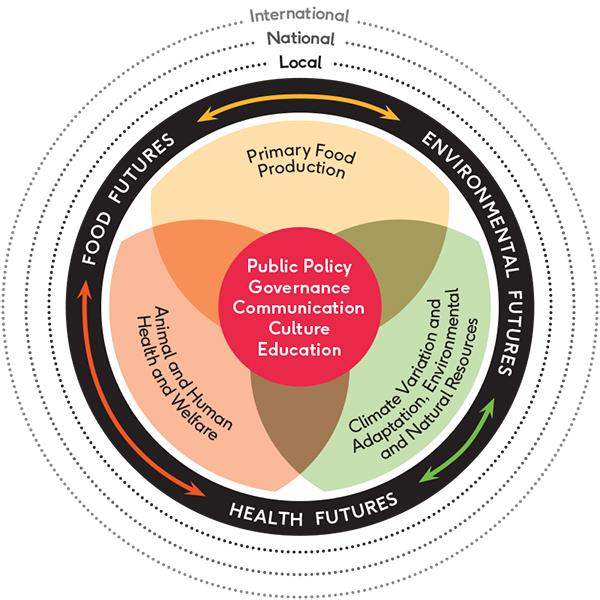 Research infographic