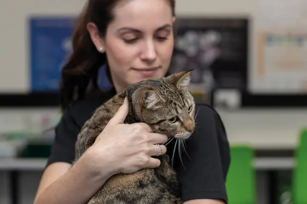 Vet student with cat