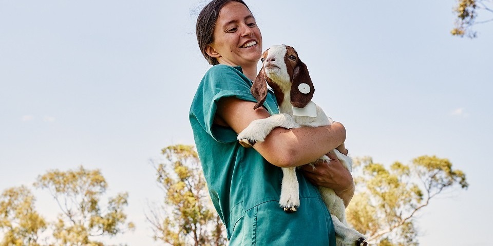 Vet student holding goat